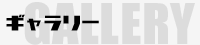 ギャラリー